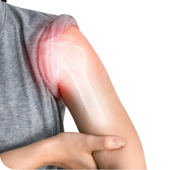 Shoulder
